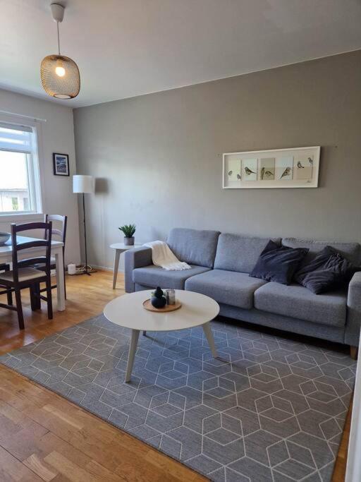 Apartment In Downtown Рейкявик Екстериор снимка