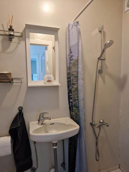 Apartment In Downtown Рейкявик Екстериор снимка